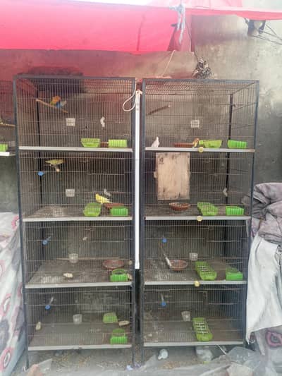 2 Birds Cages. 4 Cabin