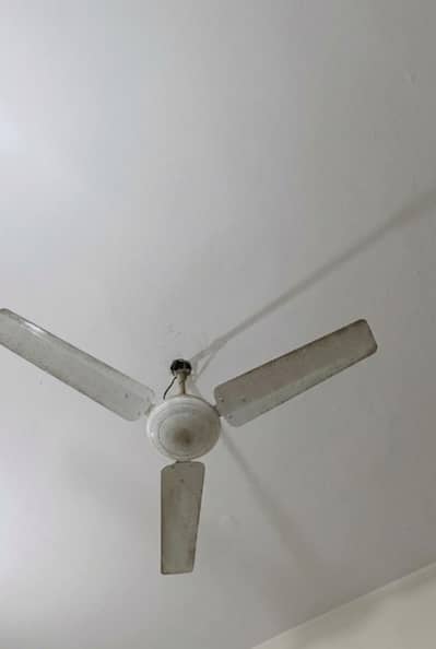 cieling fan