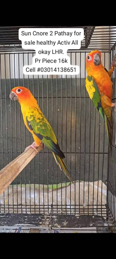 Sun Cnore Pathay sell.