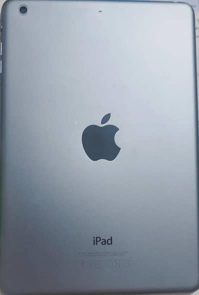 iPad mini 2