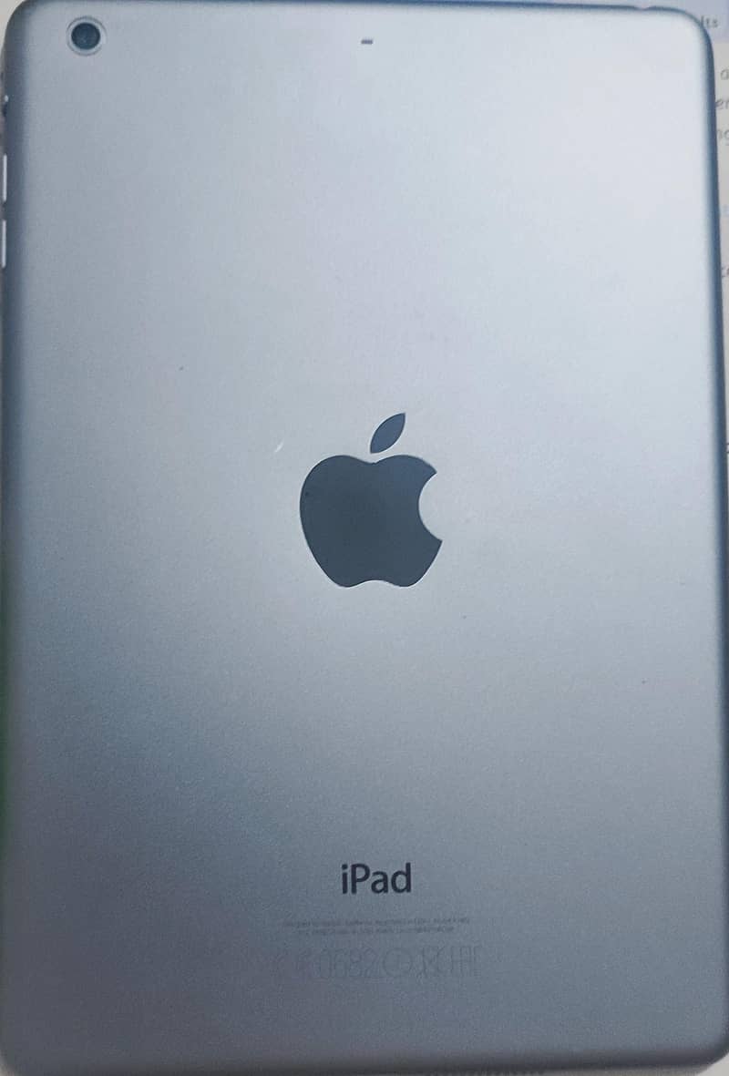 iPad mini 2 0