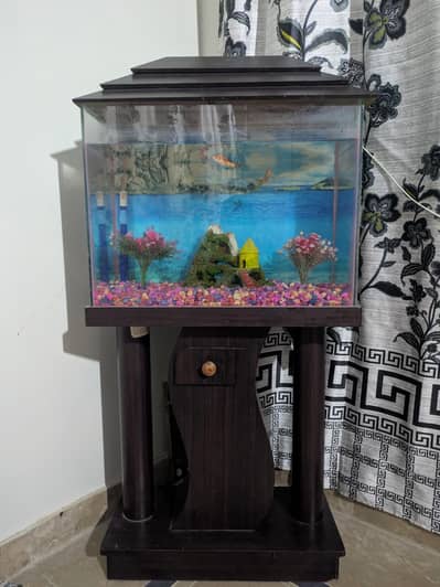 fish aquarium