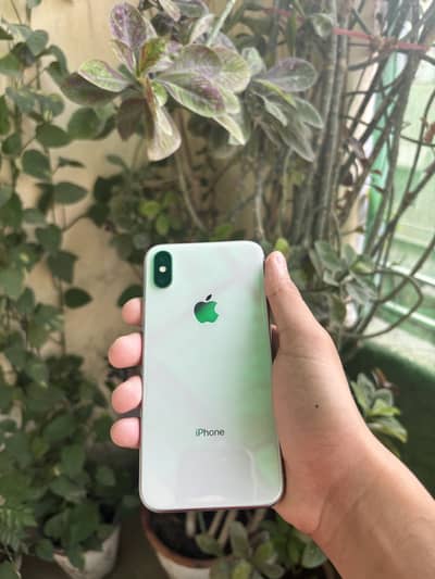Apple iPhone X