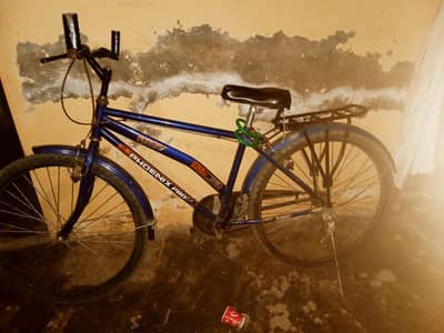 Cycle company for phoinex