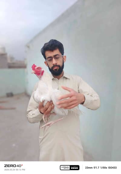 Mudassir