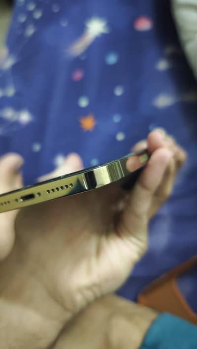 14 pro max LLA PTA approve