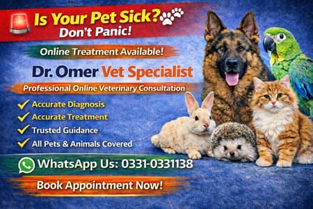 Dr. Omer online consultation