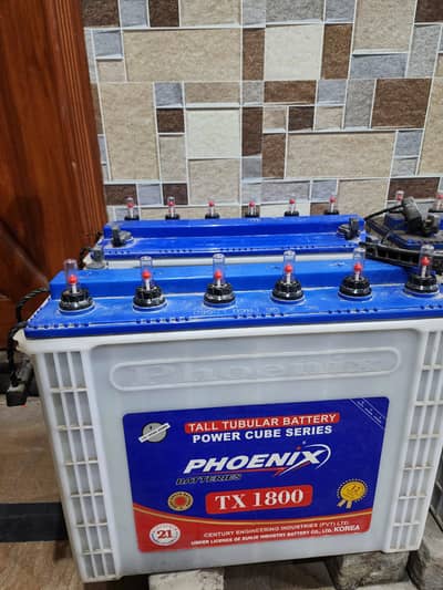 2x Phoenix 1800TX Tubular Batteries - Excellent for Solar!