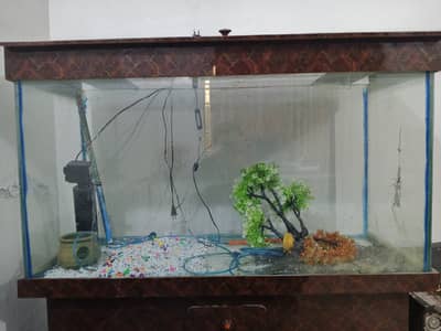 4x1.5x2 feet aquarium