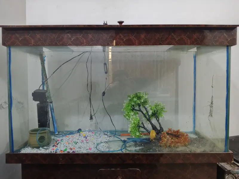4x1.5x2 feet aquarium — photo 2