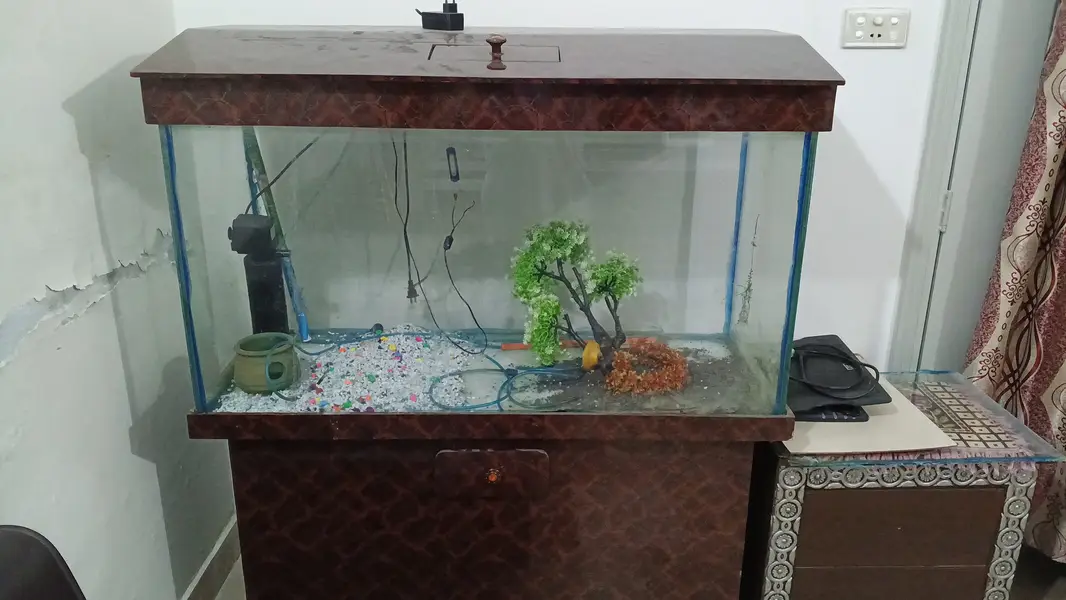 4x1.5x2 feet aquarium — photo 3
