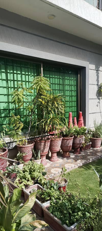 24 HOURS, ACTIVE FEMALE COOK/MAID