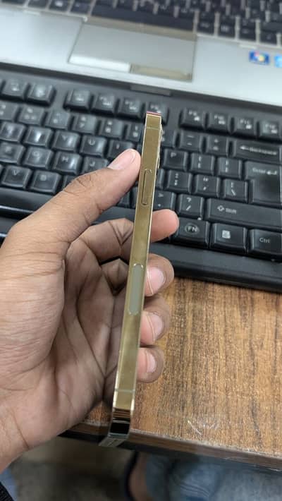 Iphone 12 pro lush condition