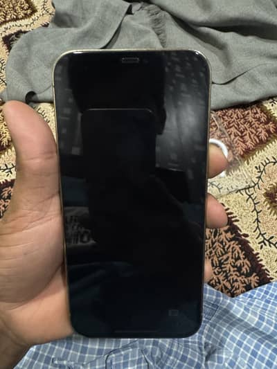 Iphone 12 pro max PTA approved in 256 GB