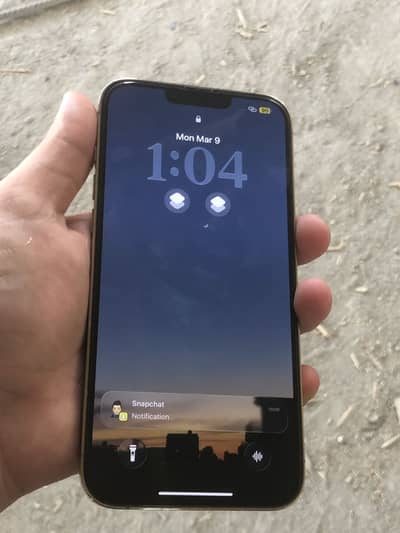 iPhone 13 Pro Max (negotiable)