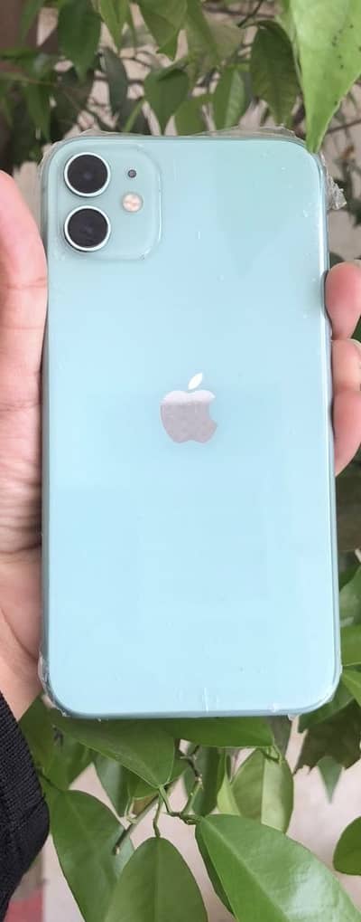 iPhone 11 pta approved