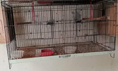 bird cage