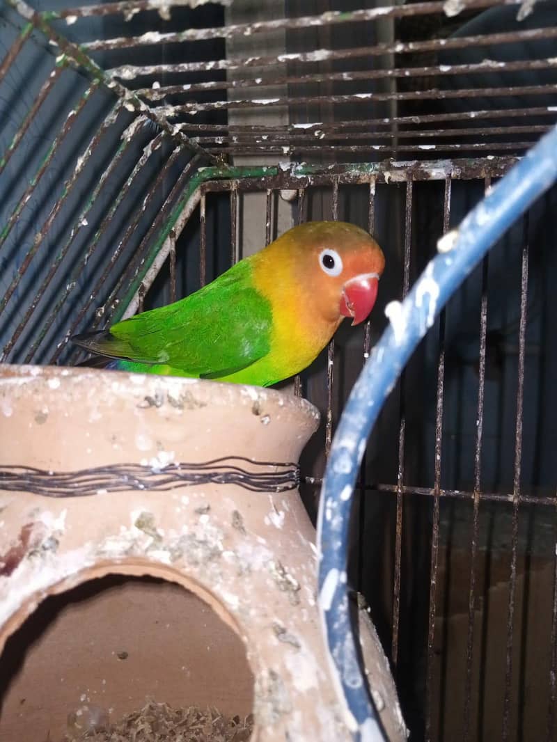 undefined 0