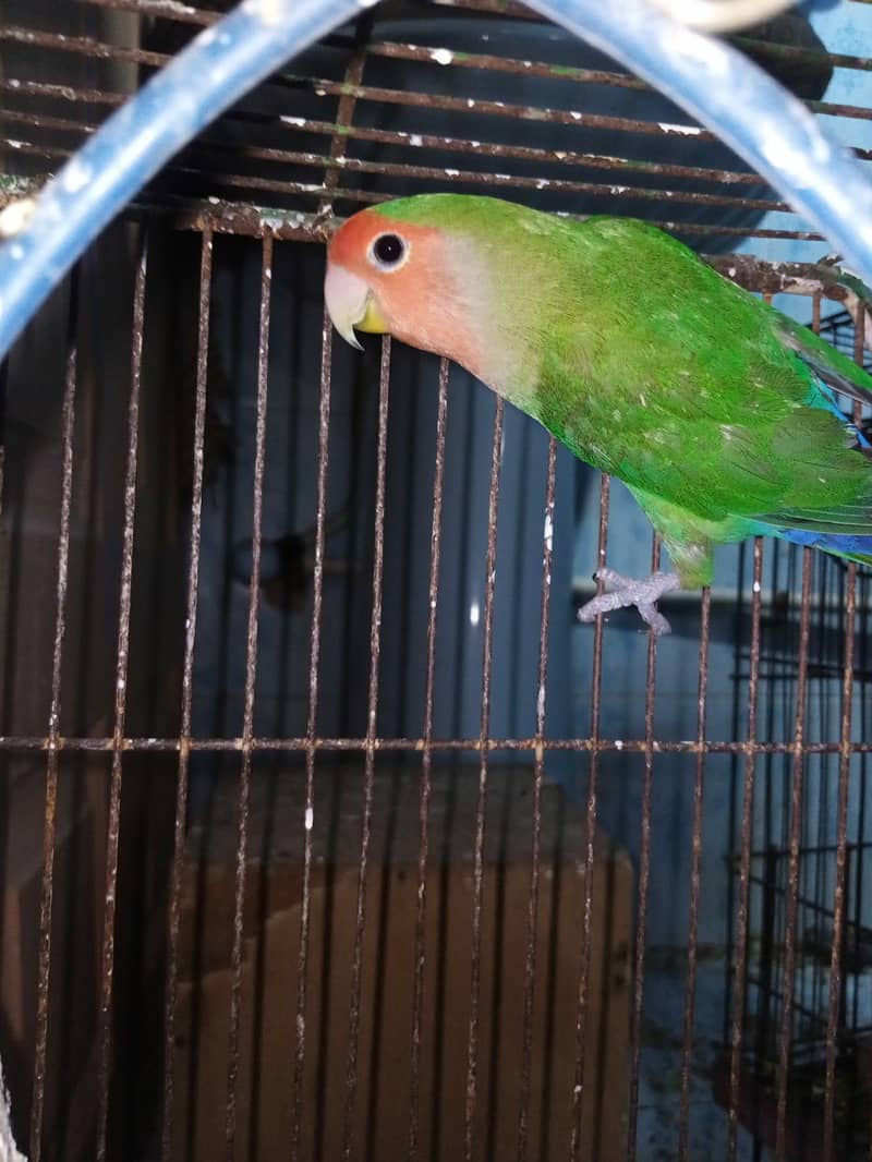 undefined 1