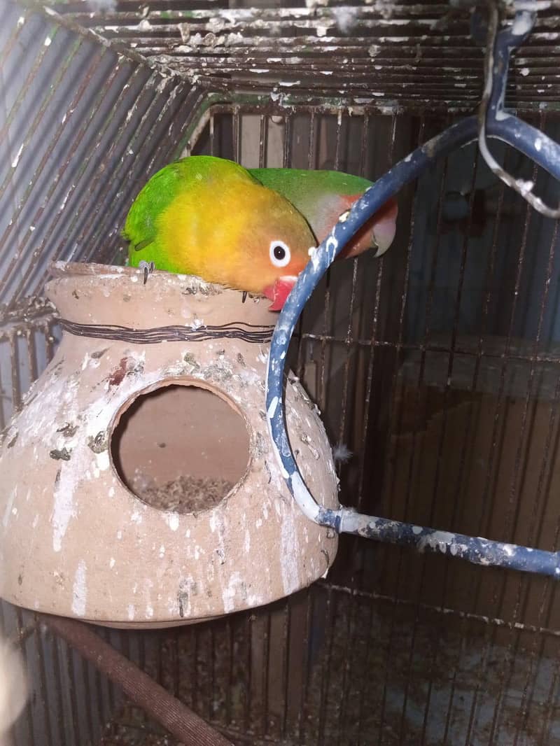 undefined 2