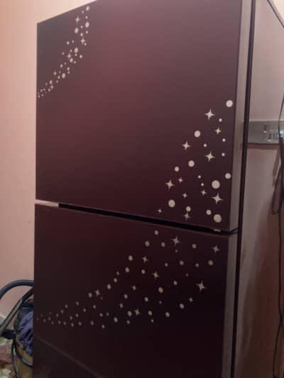 Fridge , pel , 3-4 years