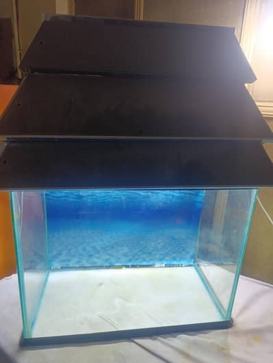 fish aquarium and all accessories