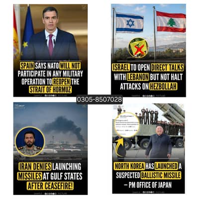 Looking for Graphic Designer + Content Creator