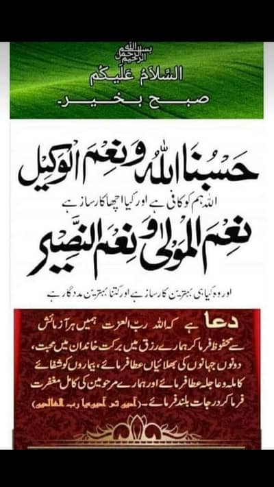 Healthy and Active Turkey Birds for Sale