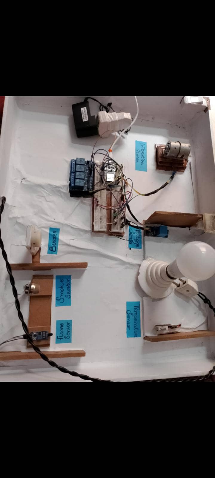 abnormal behave detector project 2