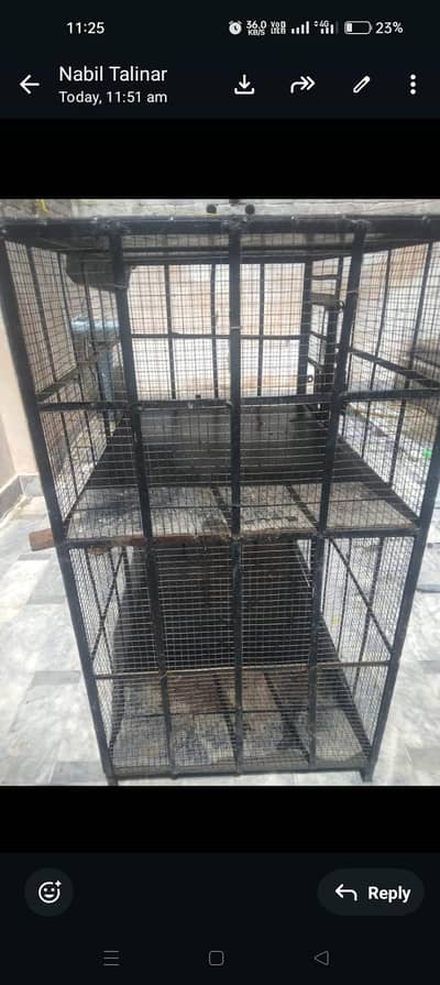 cagh36 kg 4fet  4fet cora  2fet