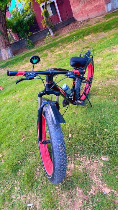 Fat bike