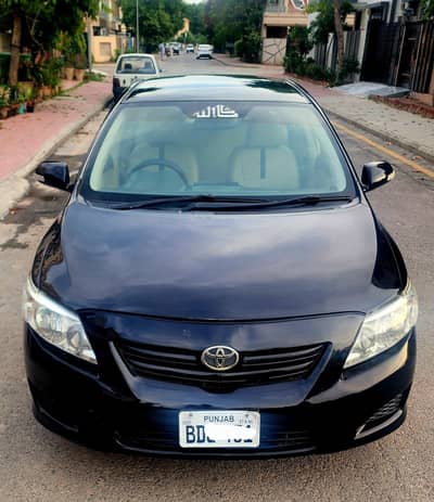 Toyota Corolla xli Seal by seal geniune