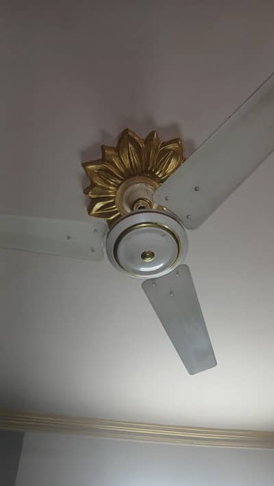 GFC CEILING FAN
