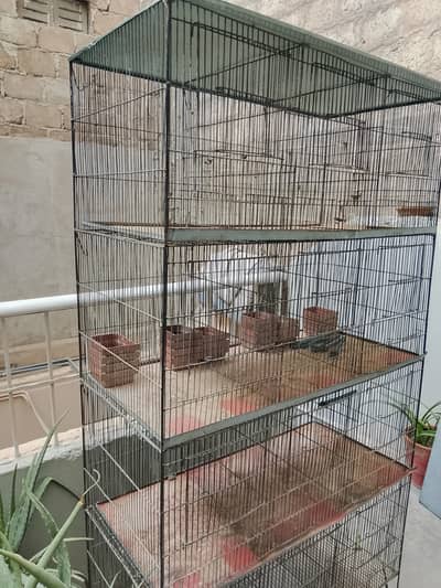 Parriot Cage for Sell in good condition
