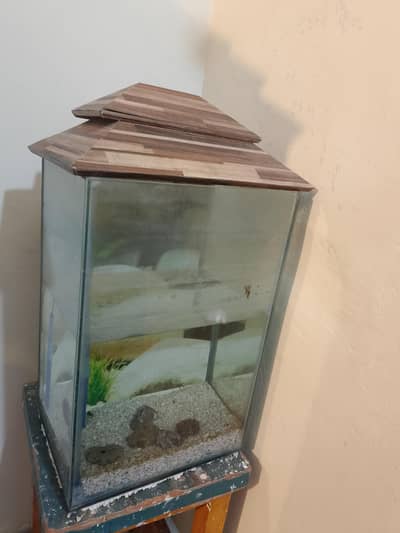 1 x 1.5 ft Tower Aquarium