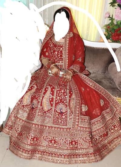 Micro velvet heavy embroidery Indian bridal dress