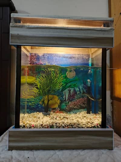 Fish Aquarium for Sale