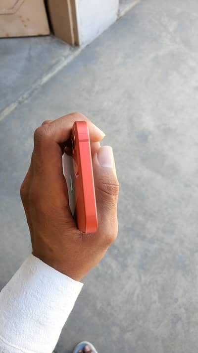 iphone 12 pta dual sim