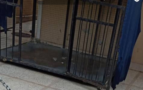 dog and pet cage for sale