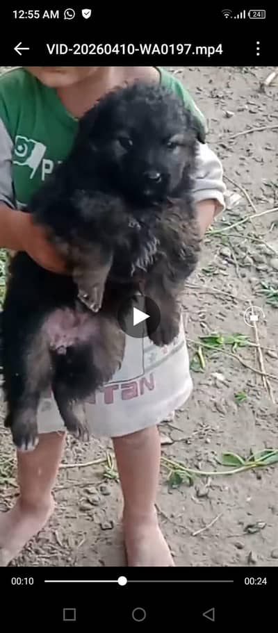 all ok healthy active havey bone structure 03475981324