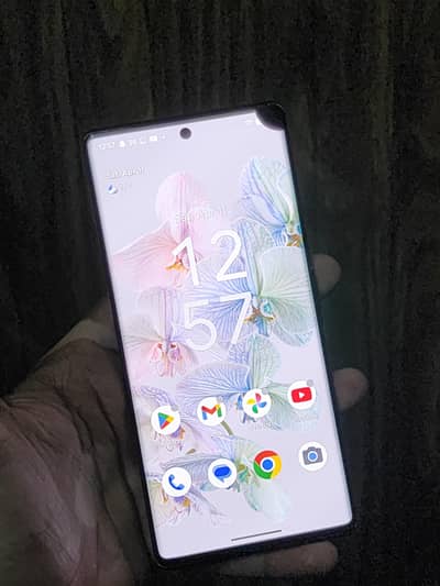 Pixel 6 pro dotted
