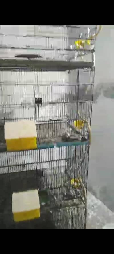 birds cage 4parts