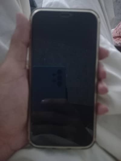 Iphone 12 pro PTA Approved