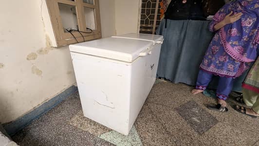 D Freezer jumbo size 2 door