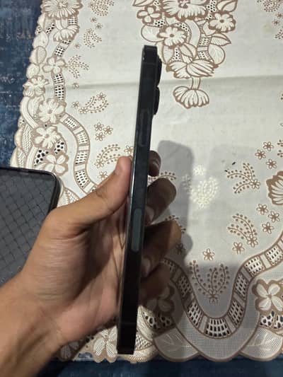 13 pro max non pta