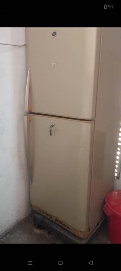 Pel fridge large size