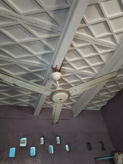 220v / 80w ceiling fan