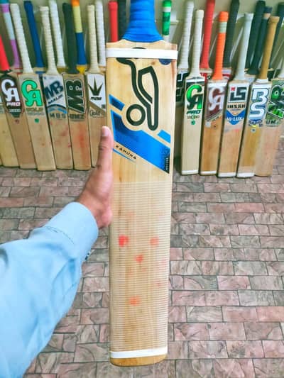 Premium English Willow Cricket Bat for Sale