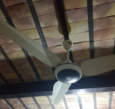 ceiling fan