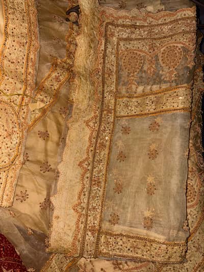 Brand New fashion Designer